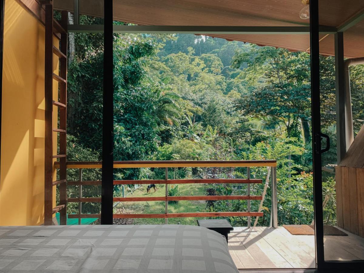 Organico Punta Riel Hotell Cahuita Eksteriør bilde