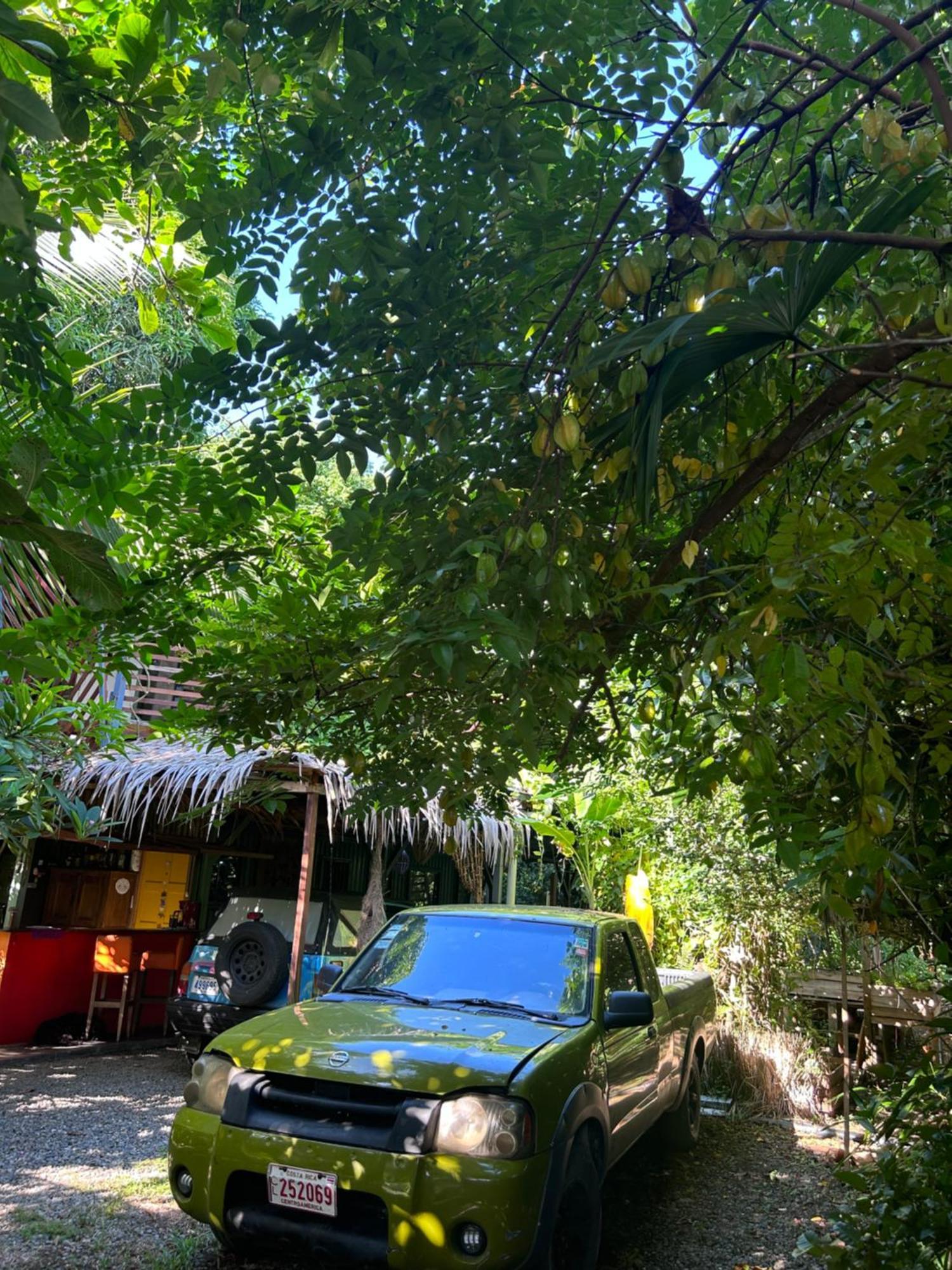 Organico Punta Riel Hotell Cahuita Eksteriør bilde