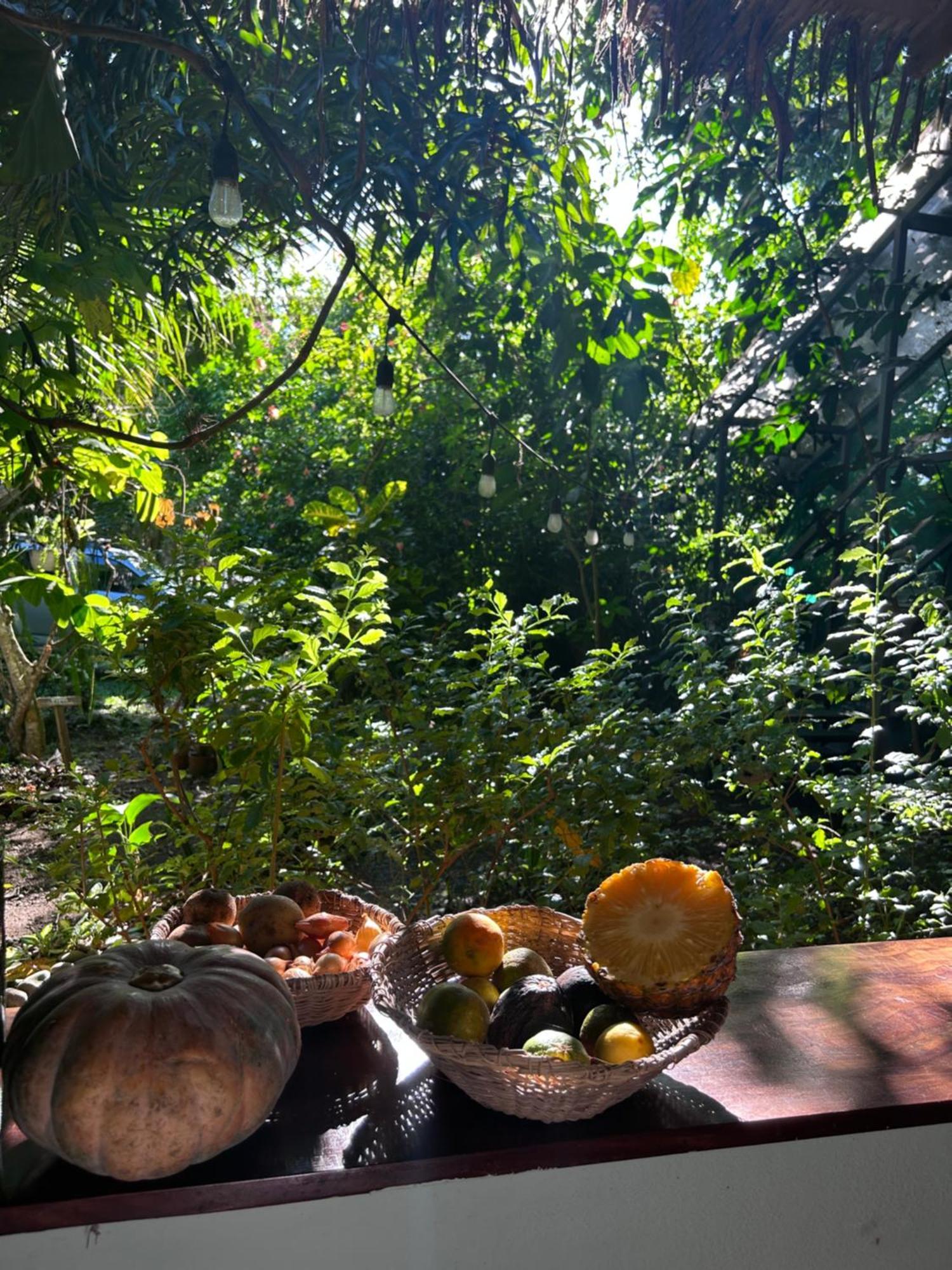 Organico Punta Riel Hotell Cahuita Eksteriør bilde