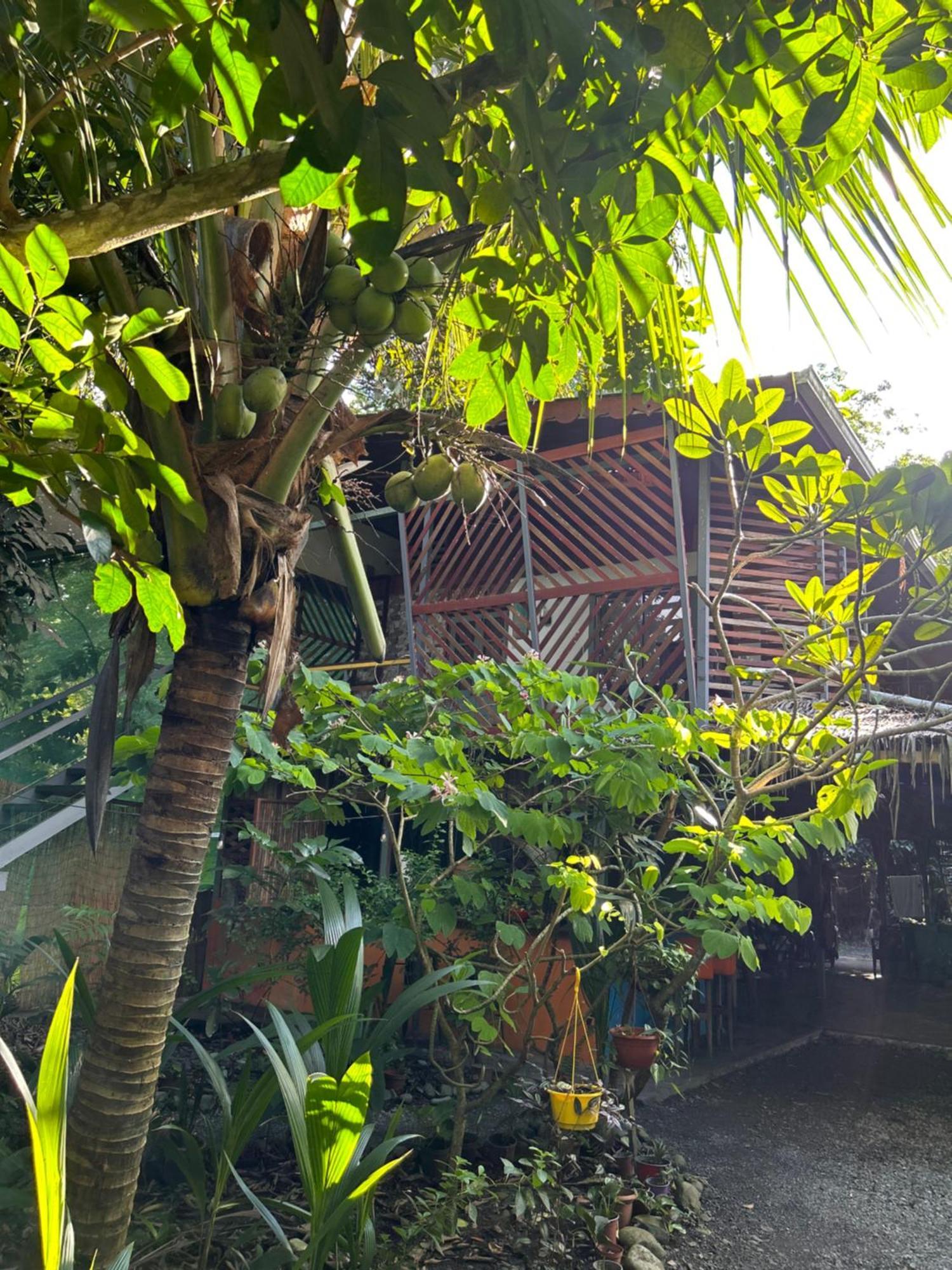 Organico Punta Riel Hotell Cahuita Eksteriør bilde