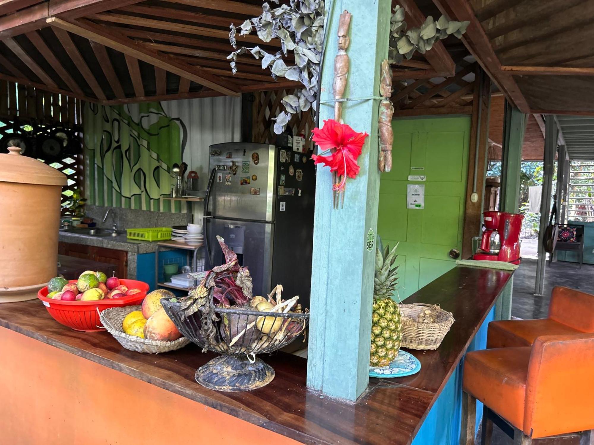 Organico Punta Riel Hotell Cahuita Eksteriør bilde