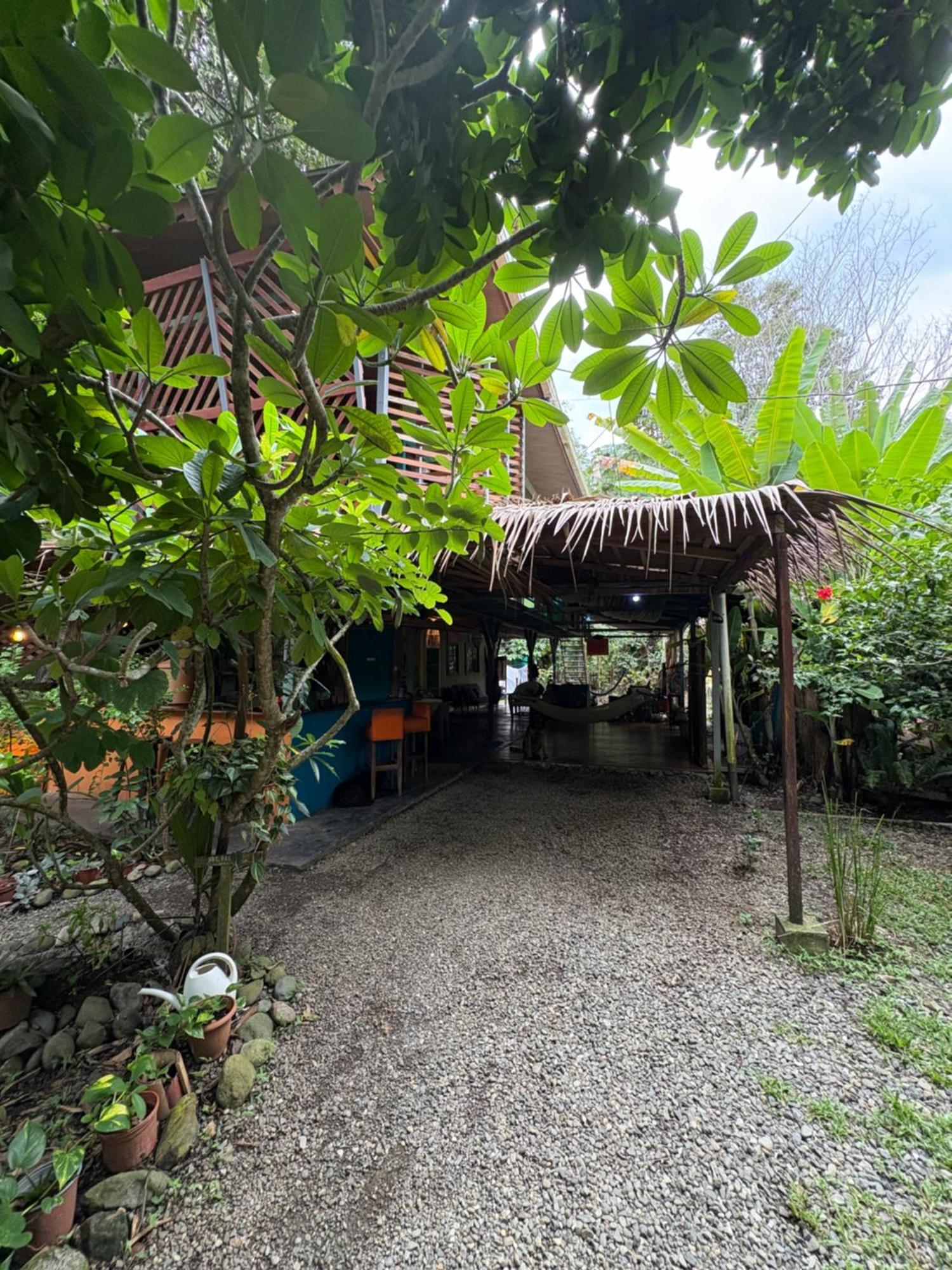 Organico Punta Riel Hotell Cahuita Eksteriør bilde