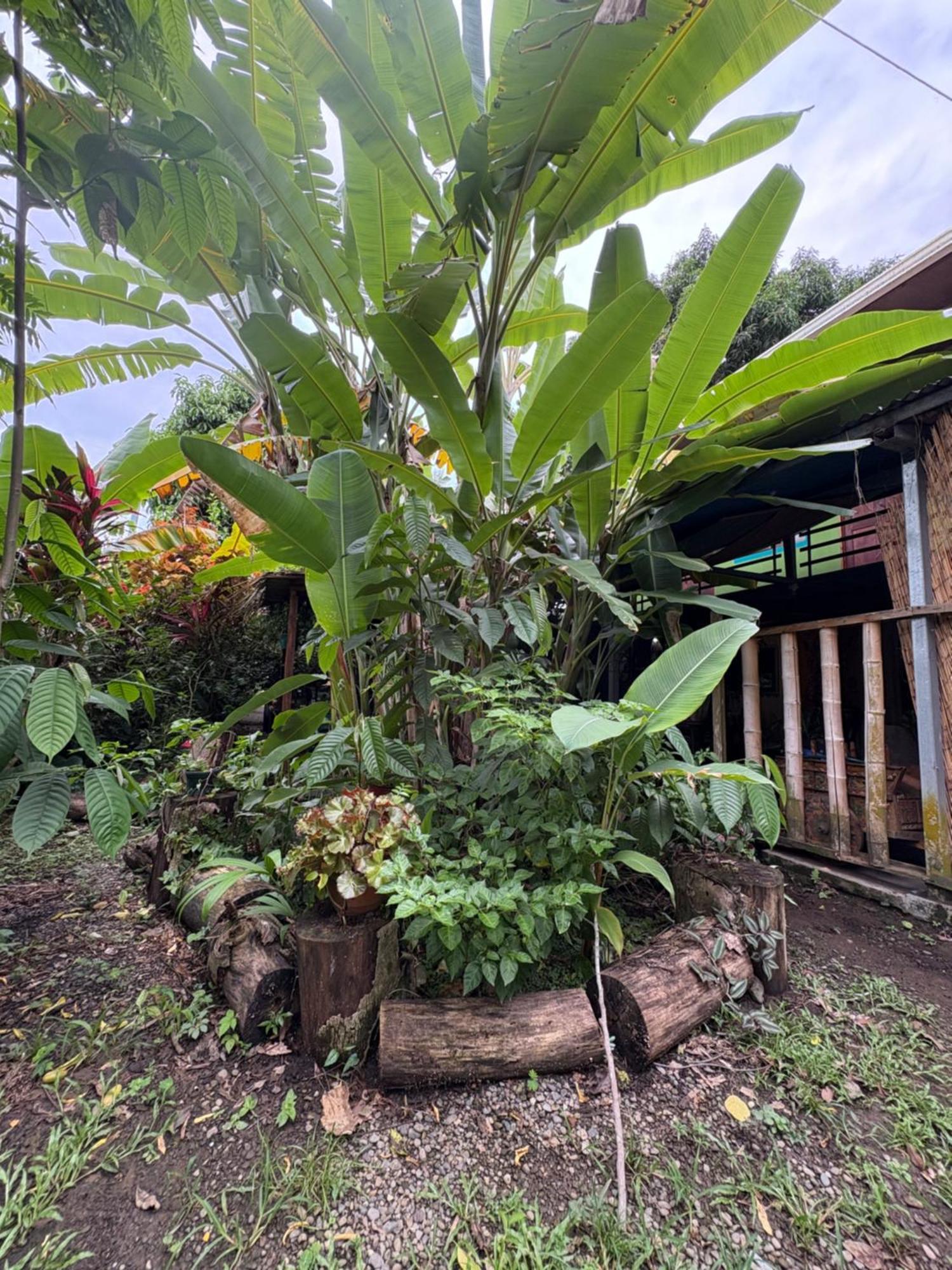 Organico Punta Riel Hotell Cahuita Eksteriør bilde
