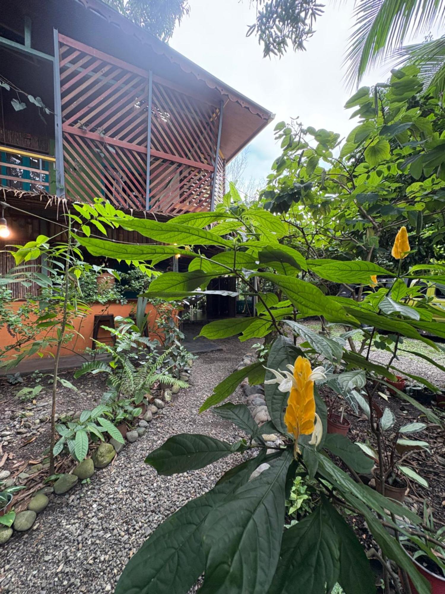 Organico Punta Riel Hotell Cahuita Eksteriør bilde