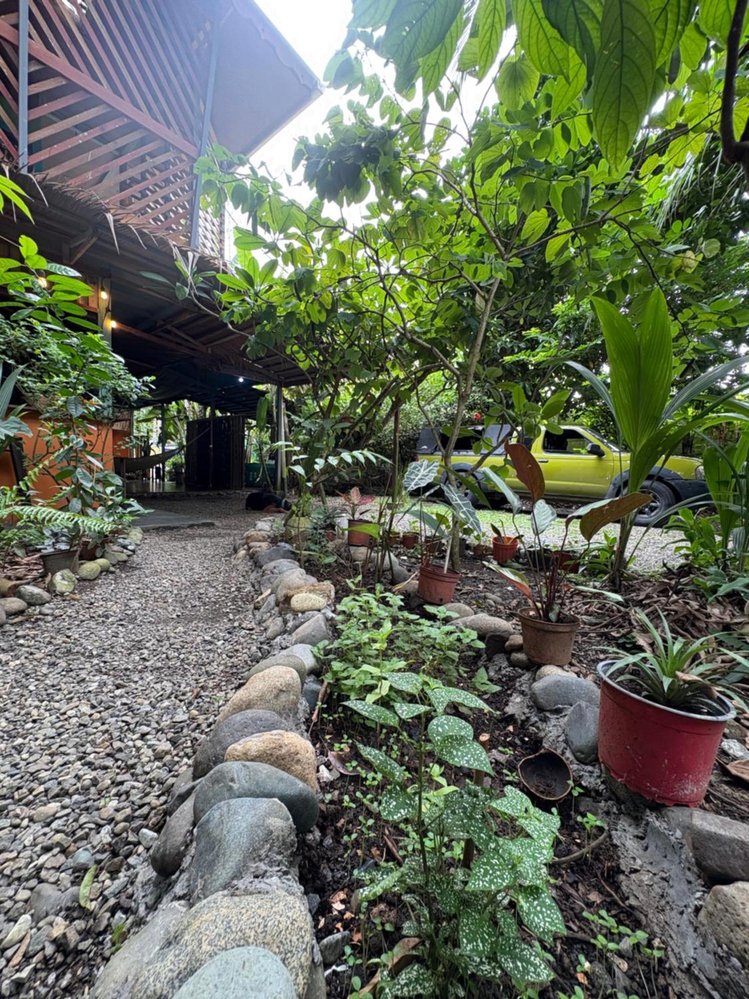 Organico Punta Riel Hotell Cahuita Eksteriør bilde