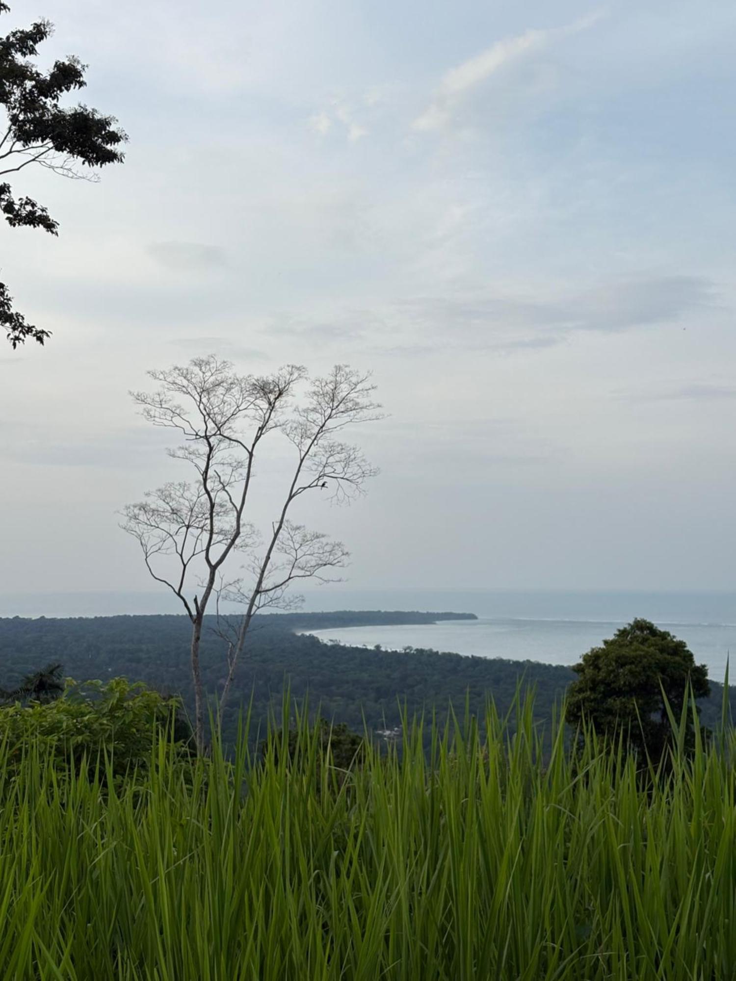 Organico Punta Riel Hotell Cahuita Eksteriør bilde